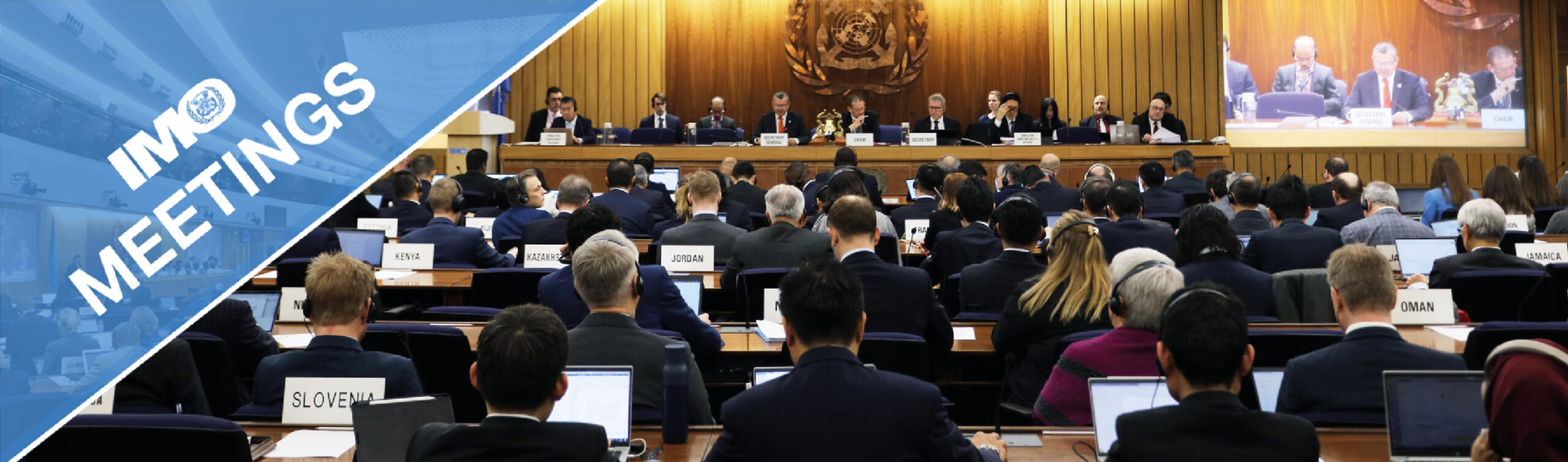 A practitioner's guide explaining what is the IMO, with a focus on its key committees like MSC and MEPC.